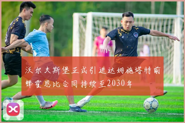 沃尔夫斯堡正式引进达姆施塔特前锋霍恩比合同持续至2030年