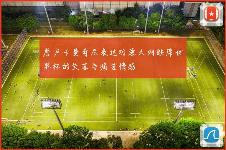 詹卢卡曼奇尼表达对意大利缺席世界杯的失落与痛苦情感